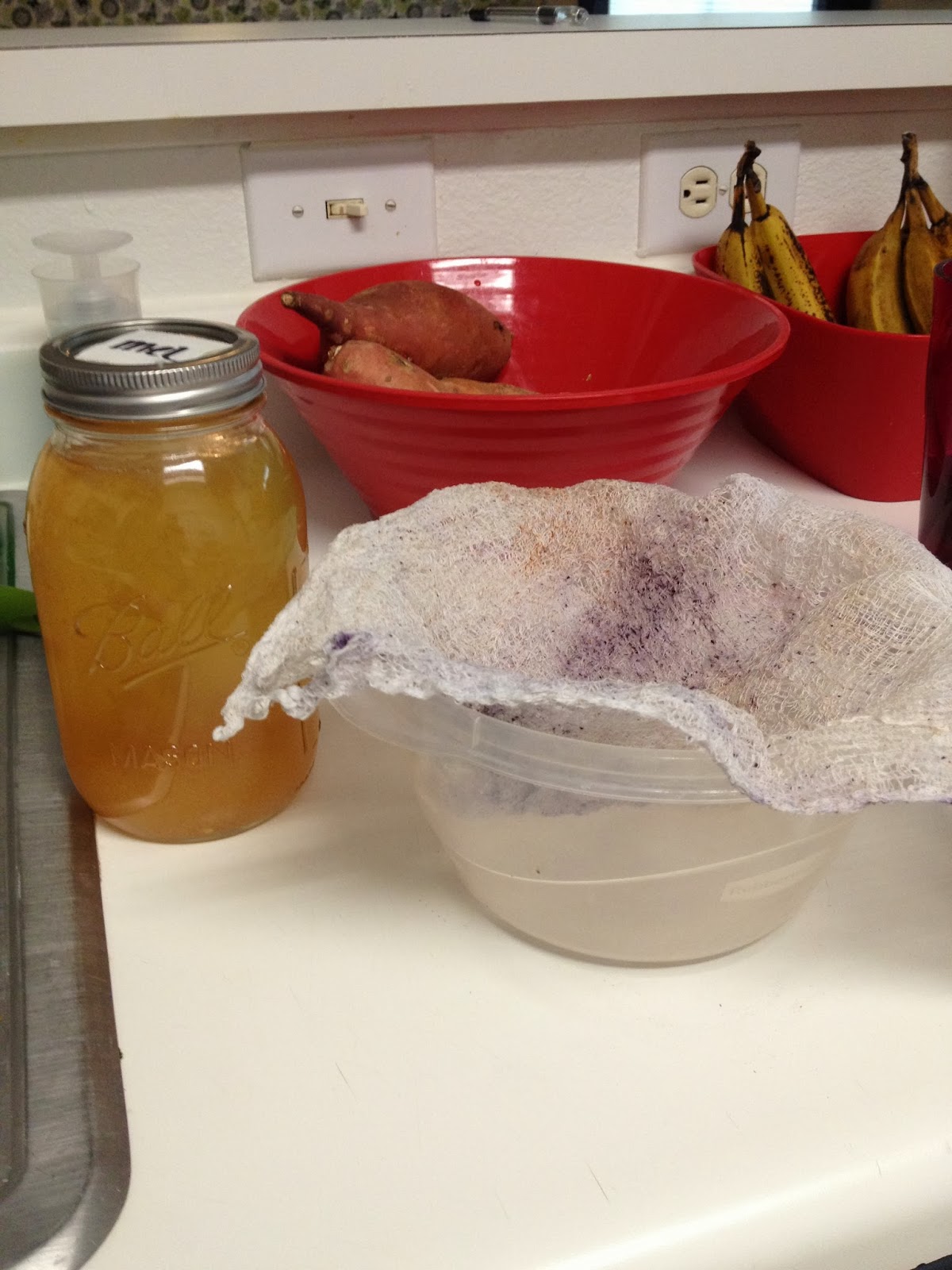 5Ingredient Paleo Make Your Own Kombucha!